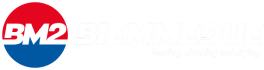 Biemmedue