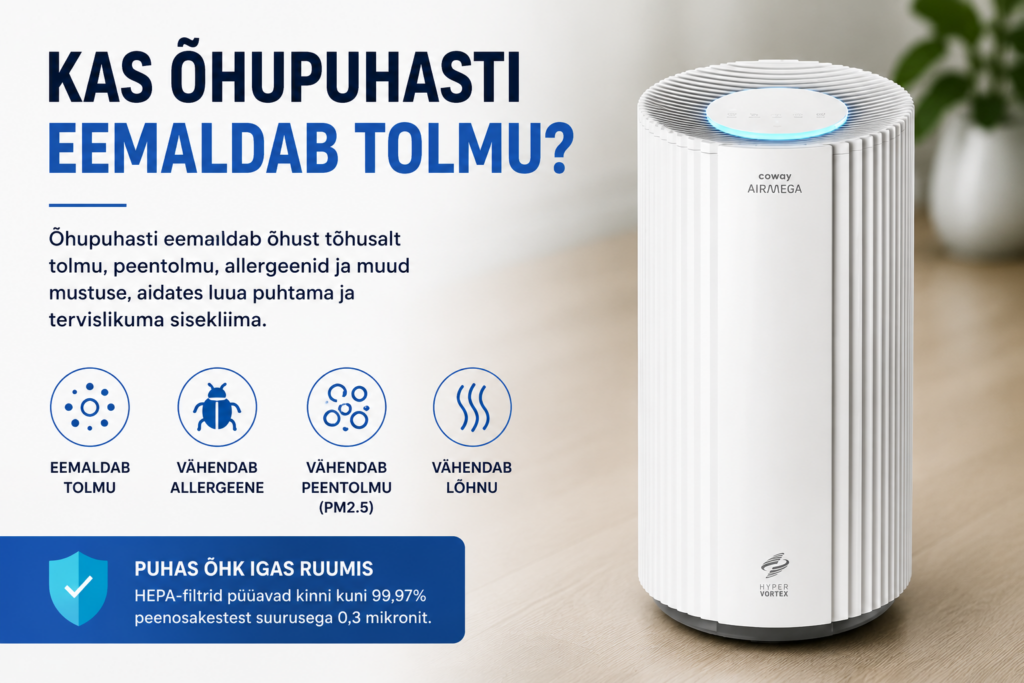 Kas õhupuhasti eemaldab tolmu? Tõde, mida enamik inimesi ei tea