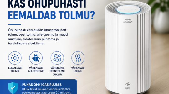 Kas õhupuhasti eemaldab tolmu? Tõde, mida enamik inimesi ei tea