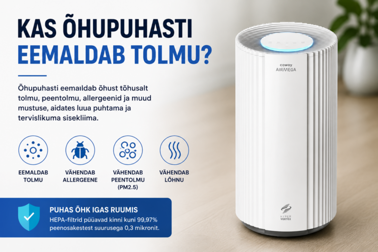 Kas õhupuhasti eemaldab tolmu? Tõde, mida enamik inimesi ei tea