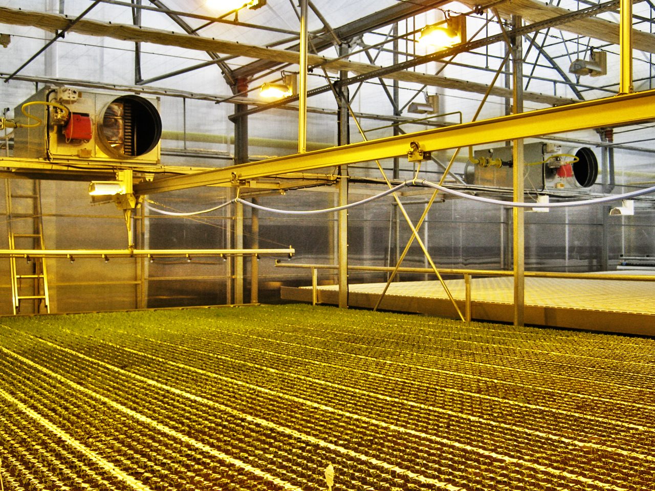 Biemmedue Arcotherm FARM 235M heavy duty suspended space heaters - Image 6